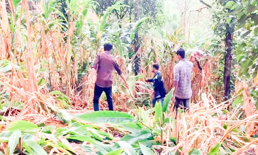 Encroachment, Chinnacanal Encroachment, Chinnacanal