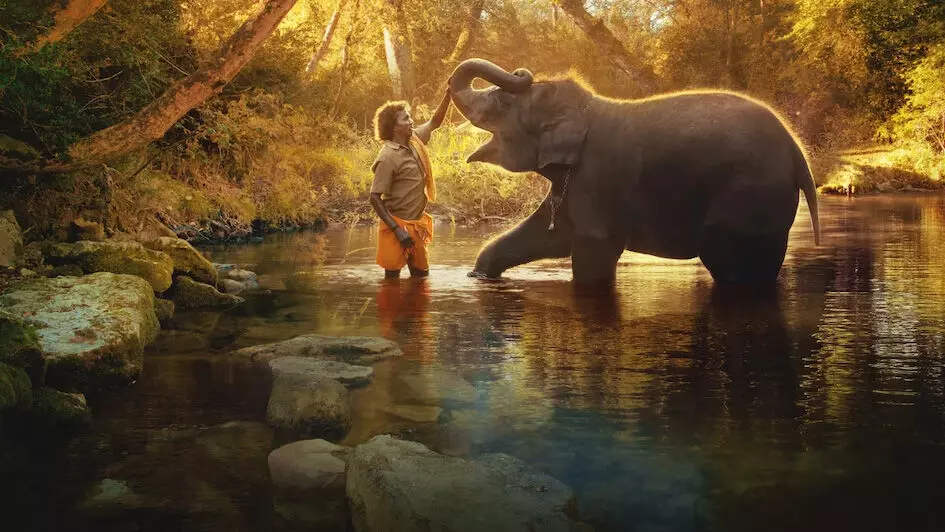 ‘എലിഫന്റ് വിസ്പറേഴ്സ്’ -ഒരു രംഗം ‘എലിഫന്റ് വിസ്പറേഴ്സ്’ -ഒരു രംഗം