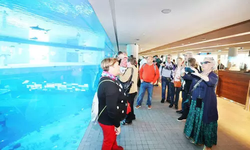 അന്താരാഷ്ട്ര സന്ദർശകർ വർധിക്കുന്നു അന്താരാഷ്ട്ര സന്ദർശകർ വർധിക്കുന്നു