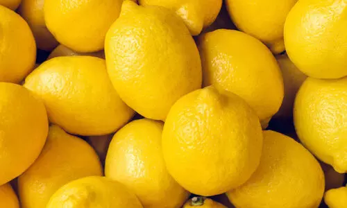 ചൂടു കനത്തു; ചെറുനാരങ്ങ വില കുതിച്ചുയരുന്നു