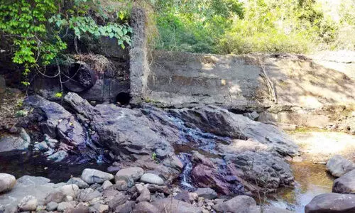 നിർമാണം നിലച്ചിട്ട് മൂന്നു പതിറ്റാണ്ട്; ചരമമടഞ്ഞ് വഞ്ചിയം ജലവൈദ്യുതി പദ്ധതി