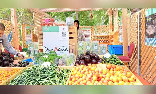 നോമ്പു തയാറെടുപ്പ്; നാടൻ പച്ചക്കറിയുടെ ലഭ്യത ഉറപ്പുവരുത്തുമെന്ന് കൃഷി മന്ത്രാലയം