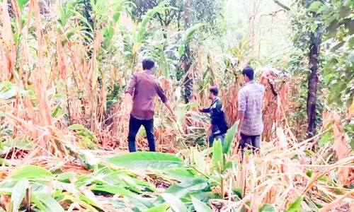 Encroachment, Chinnacanal Encroachment, Chinnacanal