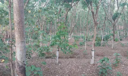 ഇലകമൺ പഞ്ചായത്തിലെ സ്റ്റേഡിയം പദ്ധതി അട്ടിമറിക്കുന്നെന്ന്​