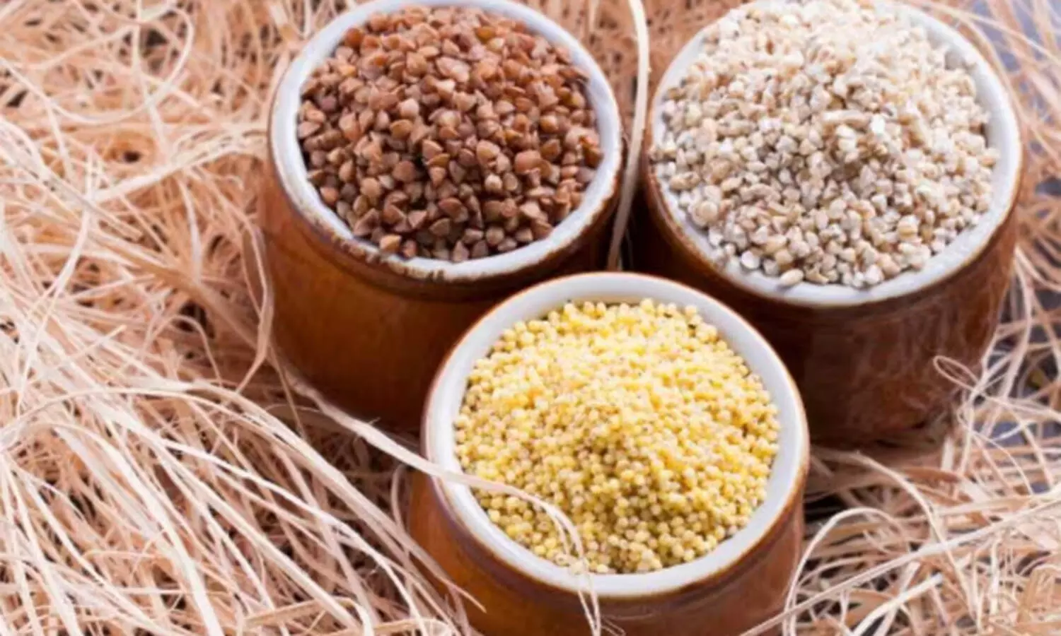 ചെറുധാന്യ ഭക്ഷ്യവിഭവ പ്രദര്‍ശന മത്സരം നാളെ