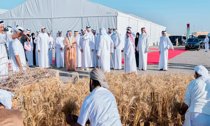 മ​ലീ​ഹ​യി​ൽ ക​ന്നി​ക്കൊ​യ്ത്ത്​; സാ​ക്ഷി​യാ​യി   ശൈ​ഖ്​ സു​ൽ​ത്താ​ൻ