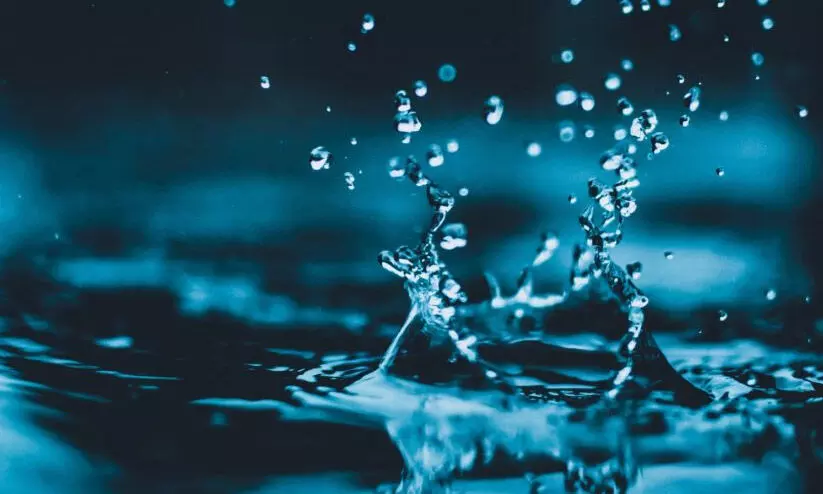 arrange drinking water facility for wild animals arrange drinking water facility for wild animals