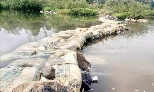 വരൾച്ച; തടയണ നിർമാണവുമായി കർഷകർ വരൾച്ച; തടയണ നിർമാണവുമായി കർഷകർ