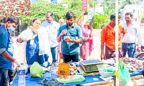 മിന്നൽ പരിശോധന; ഫോർമാലിൻ ചേർത്ത 40 കിലോ മത്സ്യം പിടികൂടി