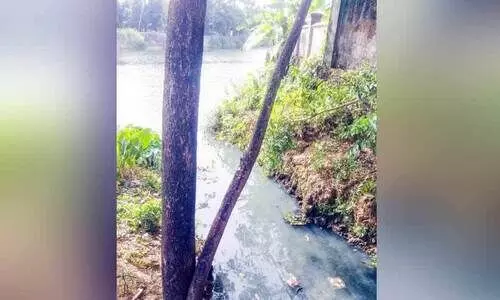 പെരിയാറിനെ വിഷമയമാക്കി നാടും നഗരവും പെരിയാറിനെ വിഷമയമാക്കി നാടും നഗരവും