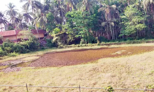 ബാലുശ്ശേരിയിലെ ജലസ്രോതസ്സുകൾ നാശമടയുന്നു