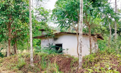 ലക്ഷങ്ങൾ ചെലവഴിച്ച് നിർമിച്ച വീടുകൾ നശിക്കുന്നു ലക്ഷങ്ങൾ ചെലവഴിച്ച് നിർമിച്ച വീടുകൾ നശിക്കുന്നു