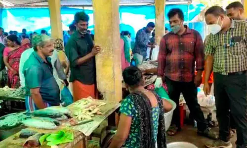 അമോണിയം കലർന്ന പഴകിയ മത്സ്യം പിടികൂടി