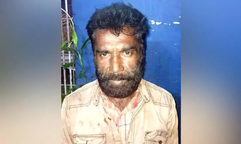 persistent criminal, jailed persistent criminal, jailed