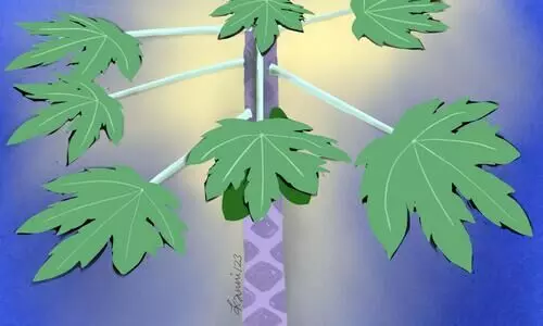 മുടിയറകൾ -നോവൽ 23