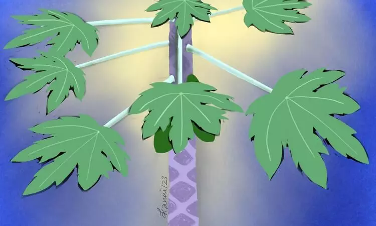 മുടിയറകൾ -നോവൽ 23