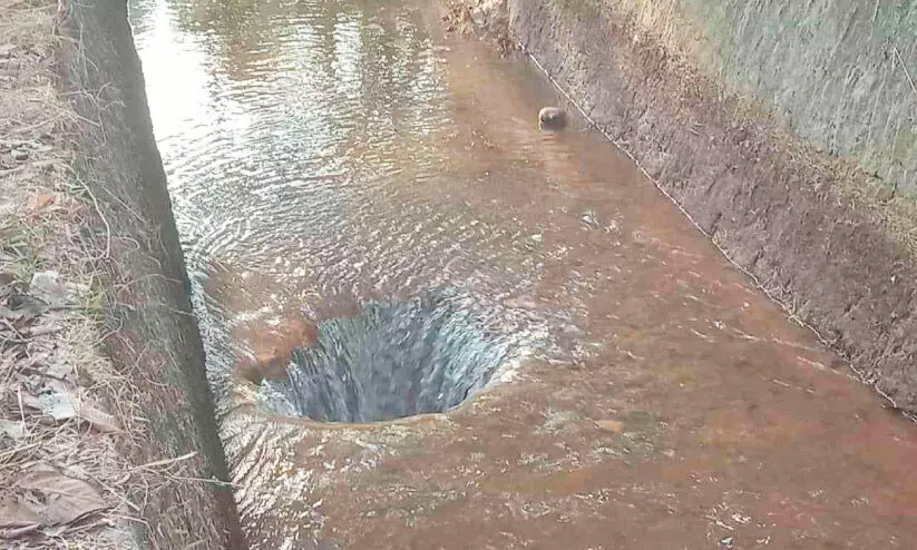 അഴിയൂർ ബ്രാഞ്ച് കനാൽ തുറന്ന് മണിക്കൂറുകൾക്കകം ചോർച്ച; കനാൽ അടച്ചു