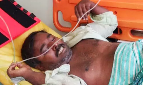 wild elephant attack