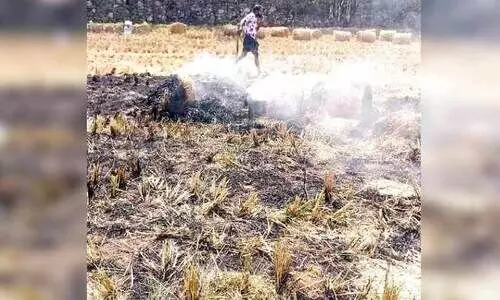 തുമ്പിച്ചാലിൽ തീപിടിത്തം