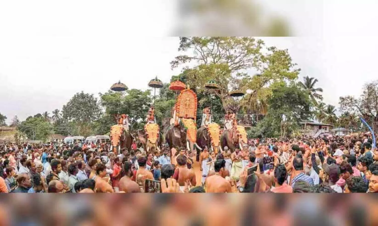 ആയിരങ്ങൾക്ക് ആനന്ദ നിർവൃതി പകർന്ന് കോങ്ങാട് പൂരം