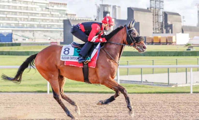 ദുബൈ വേൾഡ്​ കപ്പ്​ ഇന്ന്​