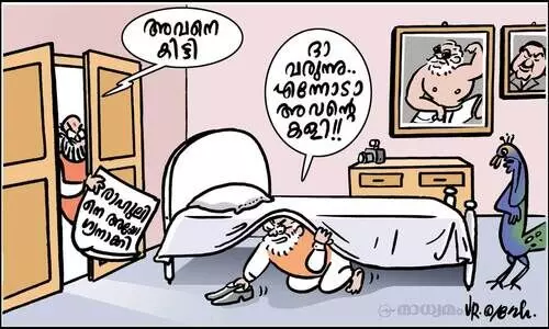 എന്തൊരു ധൈര്യം!