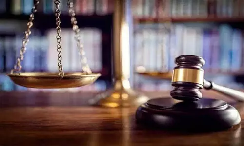 നി​യ​മ​ലം​ഘ​നം; 29 ക​മ്പ​നി​ക​ൾ​ക്കെ​തി​രെ ന​ട​പ​ടി