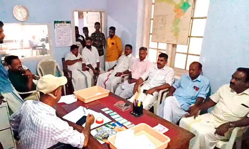 elephant attack elephant attack