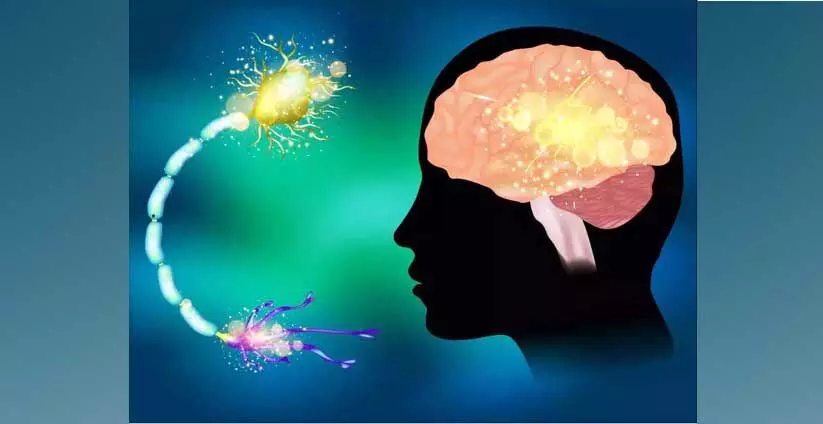 അപസ്മാരം പ്രതിരോധിക്കാം, ചികിത്സയിലൂടെ അപസ്മാരം പ്രതിരോധിക്കാം, ചികിത്സയിലൂടെ