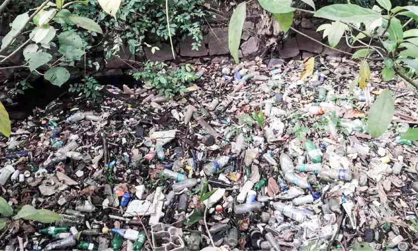 കാപ്പിത്തോട് കാപ്പിത്തോട്