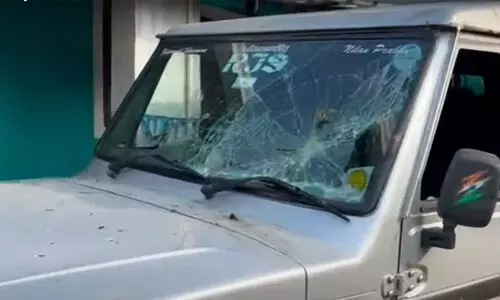 wild elephant attack wild elephant attack