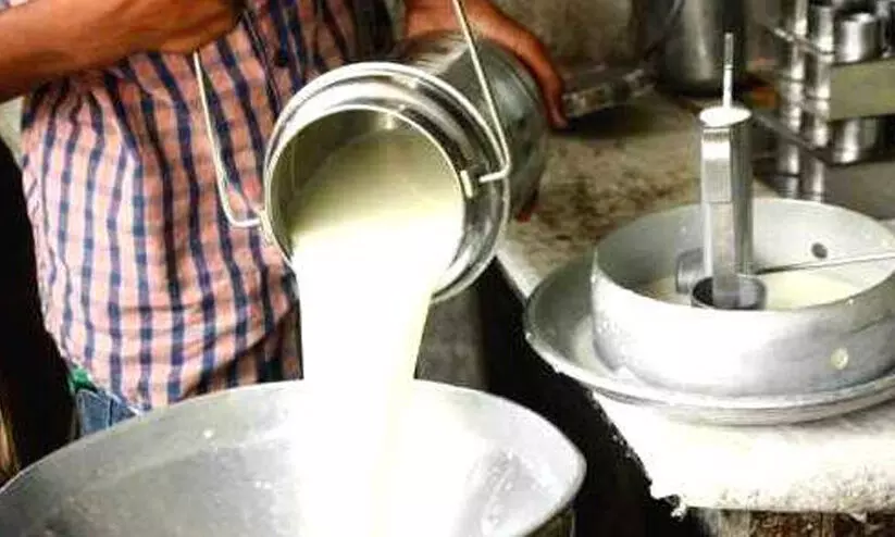 വേനൽ ചൂട്​ കഠിനം; പാലുൽപാദനം ഗണ്യമായി കുറഞ്ഞു