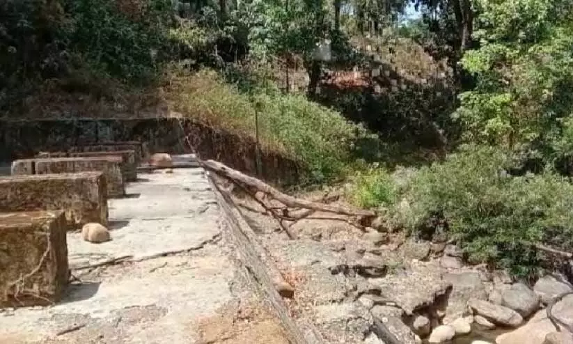 പുഴവെള്ളമൂറ്റി തോട്ടം നനക്കൽ തകൃതി പുഴവെള്ളമൂറ്റി തോട്ടം നനക്കൽ തകൃതി