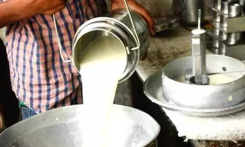 വേനൽ ചൂട്​ കഠിനം; പാലുൽപാദനം ഗണ്യമായി കുറഞ്ഞു