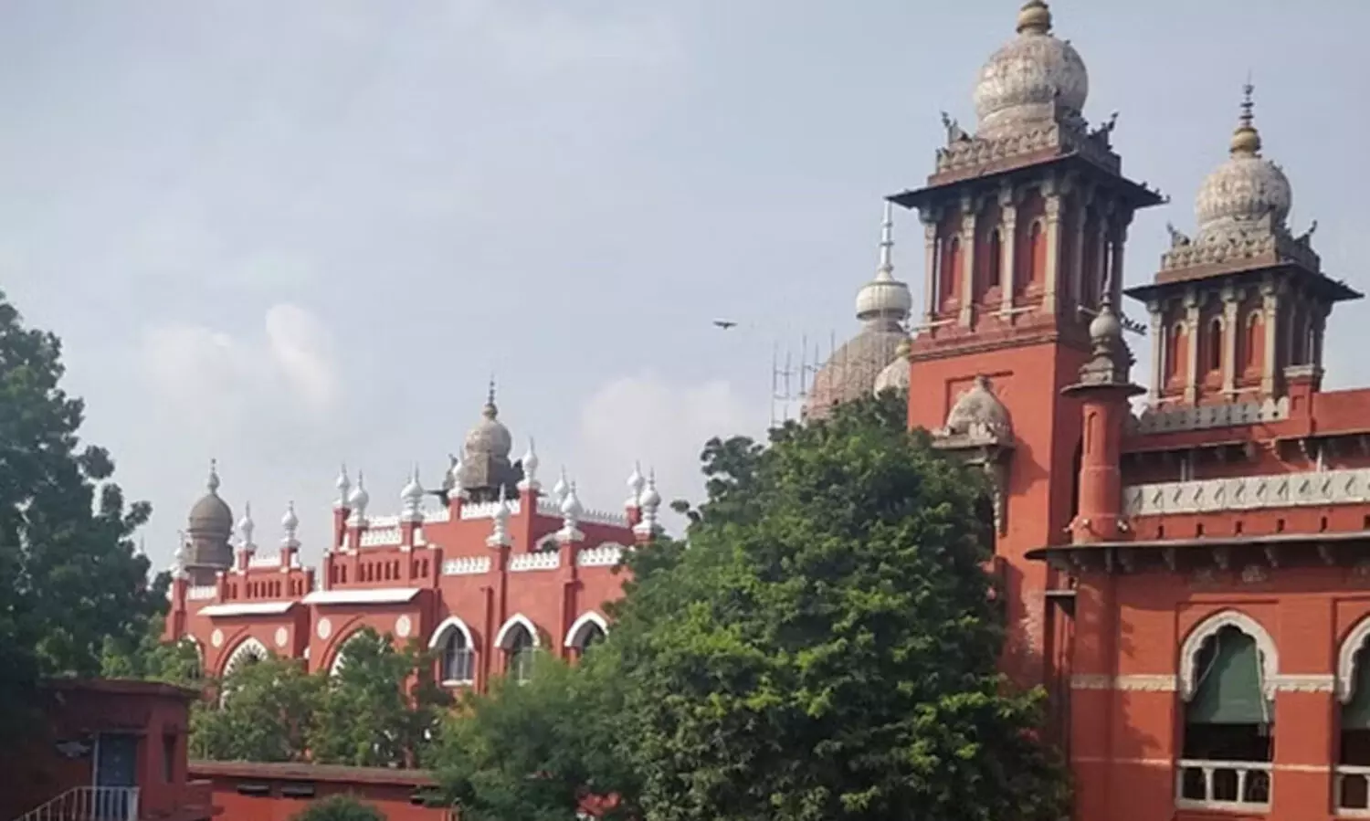 madras high court