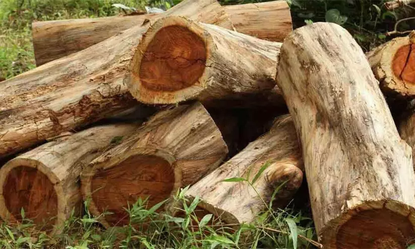 ബ്രഹ്മഗിരി താഴ്വാരത്തെ മരം മുറി തടയണമെന്ന് പ്രകൃതി സംരക്ഷണ സമിതി ബ്രഹ്മഗിരി താഴ്വാരത്തെ മരം മുറി തടയണമെന്ന് പ്രകൃതി സംരക്ഷണ സമിതി