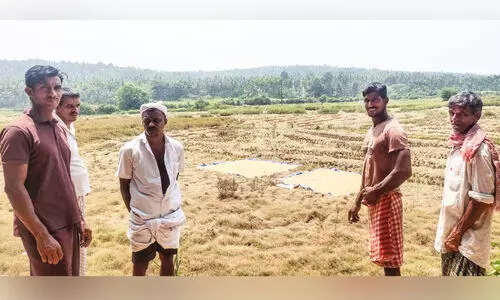 പു​തു​പ്പ​റ​മ്പ് ദേ​ശം പ​ട​ശേ​ഖ​ര​ത്തി​ലെ ക​ർ​ഷ​ക​ർ