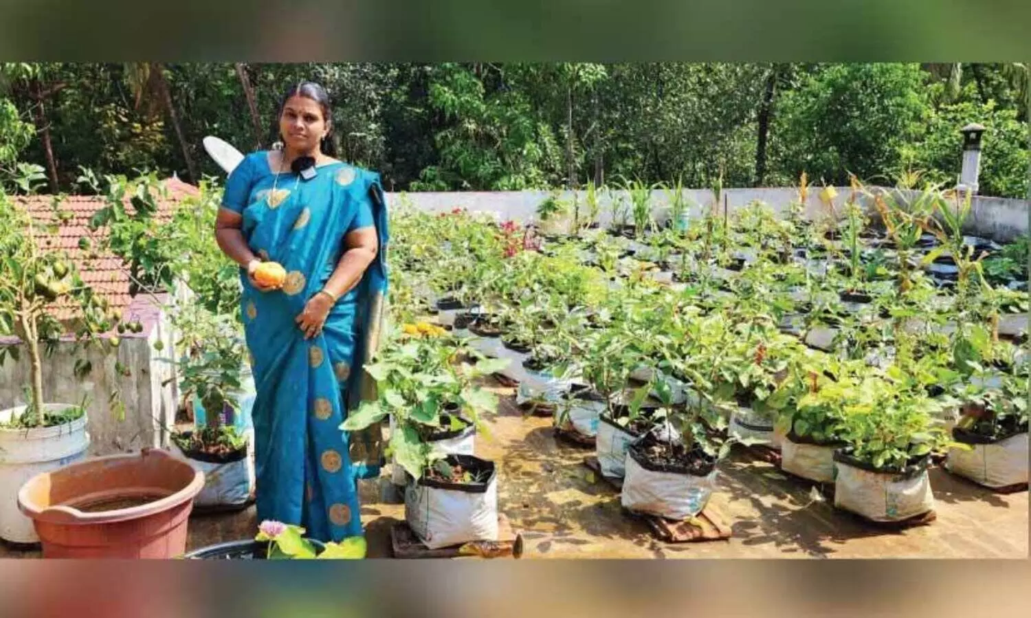 മട്ടുപ്പാവ് കൃഷിയിൽ വേറിട്ട മാതൃകയുമായി ജയപ്രീത