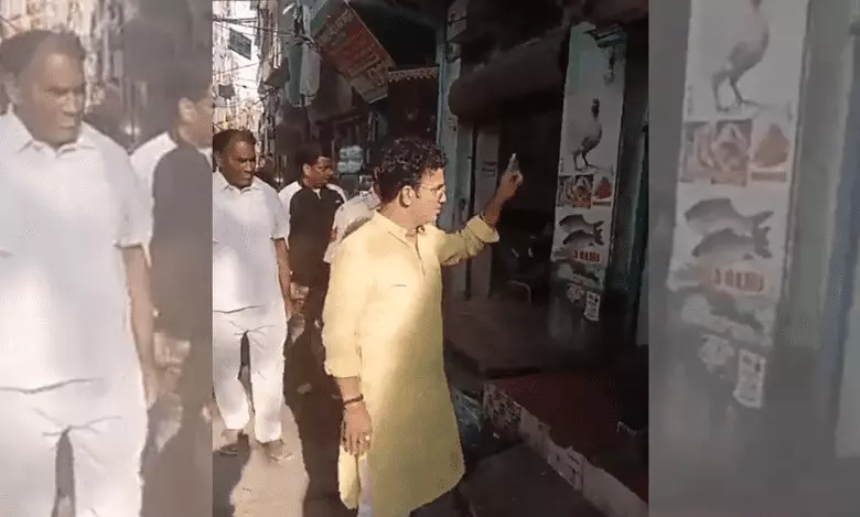 Cow vigilantes Cow vigilantes