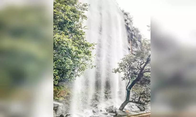 വരുന്നു അവധിക്കാലം, ഇടുക്കിയിലെ വിനോദസഞ്ചാര കേന്ദ്രങ്ങൾ പ്രതീക്ഷയിൽ