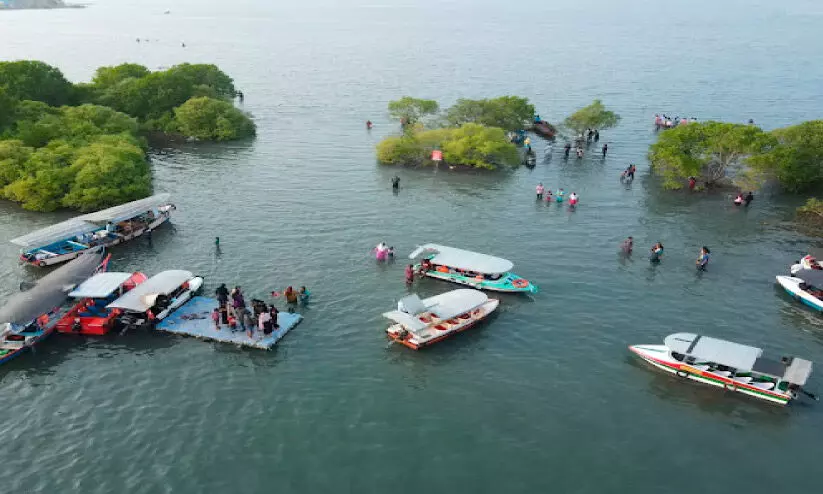 sambranikodi sambranikodi