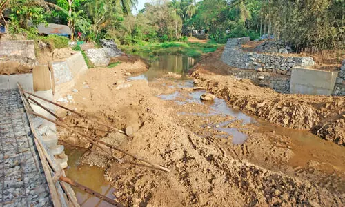 മഞ്ഞപ്പുഴ: പു​ന​രു​ജ്ജീ​വ​ന പ്ര​വൃ​ത്തി​ക്ക് ജീ​വ​നി​ല്ല