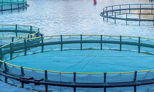 ദേ​ശീ​യ​ മ​ത്സ്യ​വ​ള​ർ​ത്തു കേ​ന്ദ്രം;  സ​മീ​പ​ഭാ​വി​യി​ൽ   ഭ​ക്ഷ്യ​സു​ര​ക്ഷ