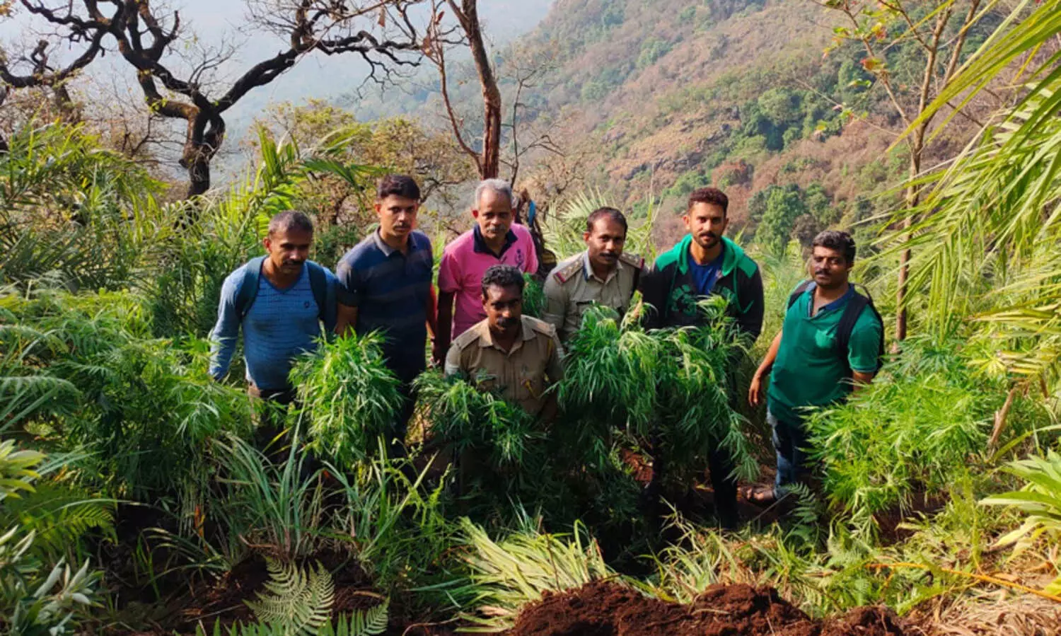 ganja hunting in the hilly area of ​​Palakkad