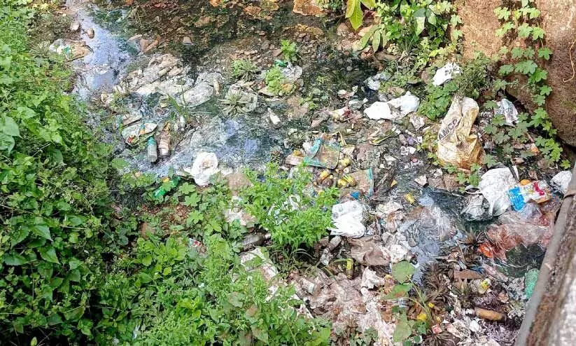 തള്ളി നിറച്ചു മാലിന്യം; വിഷവാഹിനിയായി മല്ലപ്പള്ളി ഊരുകുഴിത്തോട് തള്ളി നിറച്ചു മാലിന്യം; വിഷവാഹിനിയായി മല്ലപ്പള്ളി ഊരുകുഴിത്തോട്