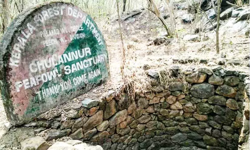 വരണ്ടുണങ്ങി ചൂലനൂർ മയിൽ സങ്കേതം വരണ്ടുണങ്ങി ചൂലനൂർ മയിൽ സങ്കേതം