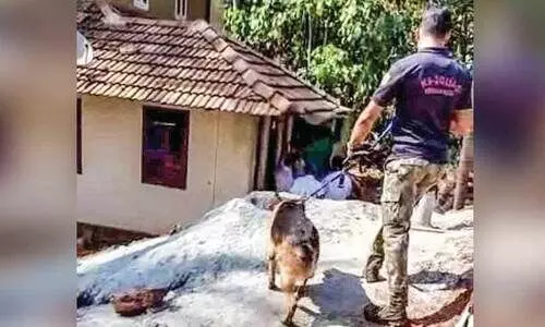 വീടിന്റെ ഓട് പൊളിച്ച് ആഭരണങ്ങളും മൊബൈൽ ഫോണും കവർന്നു