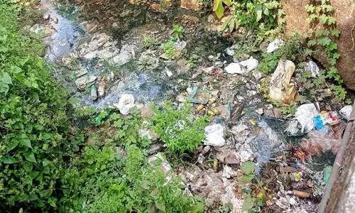 തള്ളി നിറച്ചു​ മാലിന്യം; വിഷവാഹിനിയായി​ മല്ലപ്പള്ളി ഊരുകുഴിത്തോട്