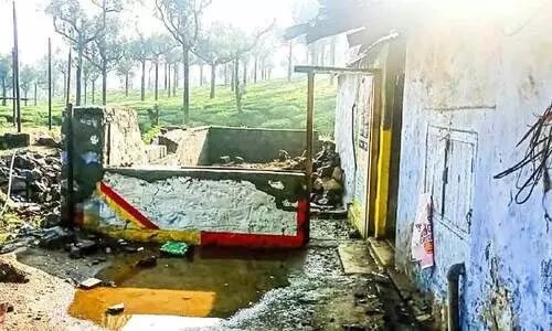 അരിക്കൊമ്പൻ റേഷൻകട തകർത്തത് 11 തവണ; ഞെട്ടലോടെ കടയുടമ ആന്‍റണി