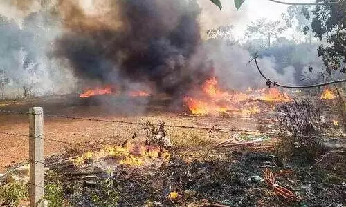 പുല്ലിന് തീപിടിച്ചു; ടെ​ലി​കോം കേബിളുകൾ കത്തിനശിച്ചു